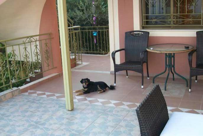 Ramona Apartment ลูร์ดฮาตา ภายนอก รูปภาพ