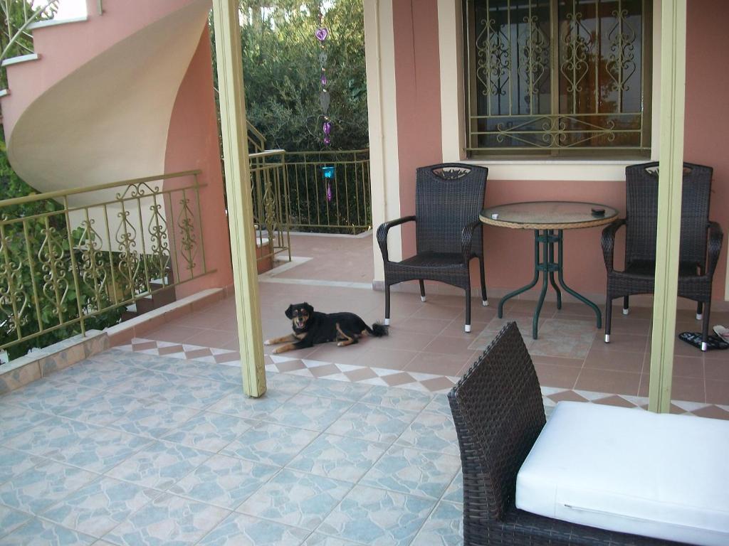 Ramona Apartment ลูร์ดฮาตา ภายนอก รูปภาพ